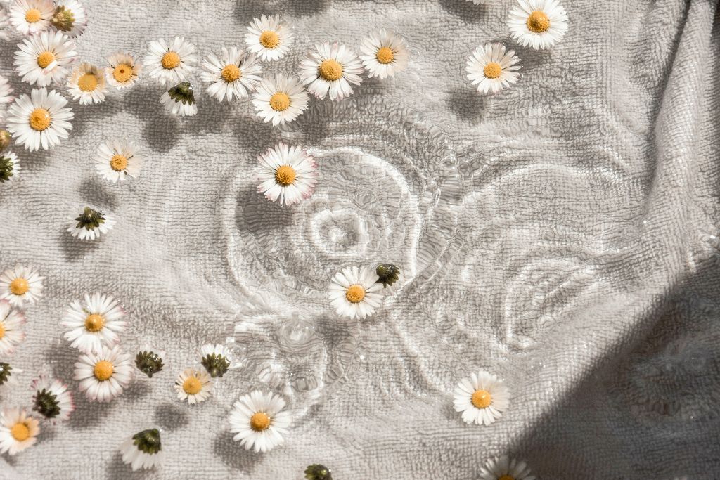 Daisies on textured linen with water
